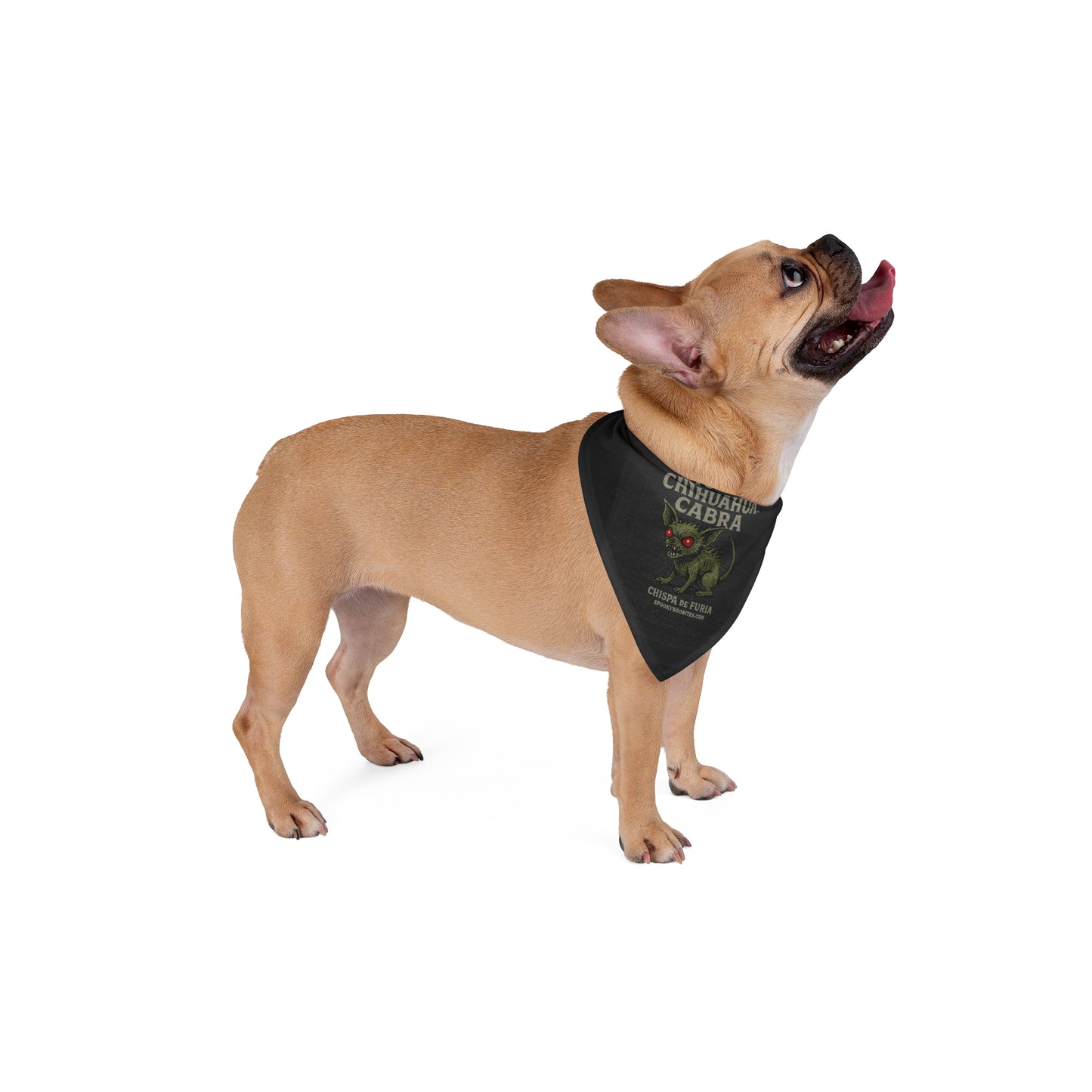 Chic Pet Bandana for Stylish Dogs, Cute Pet Accessory, Chihuahua Themed Dog Bandana, Unique Gifts for Pet Lovers, Dog Fashion