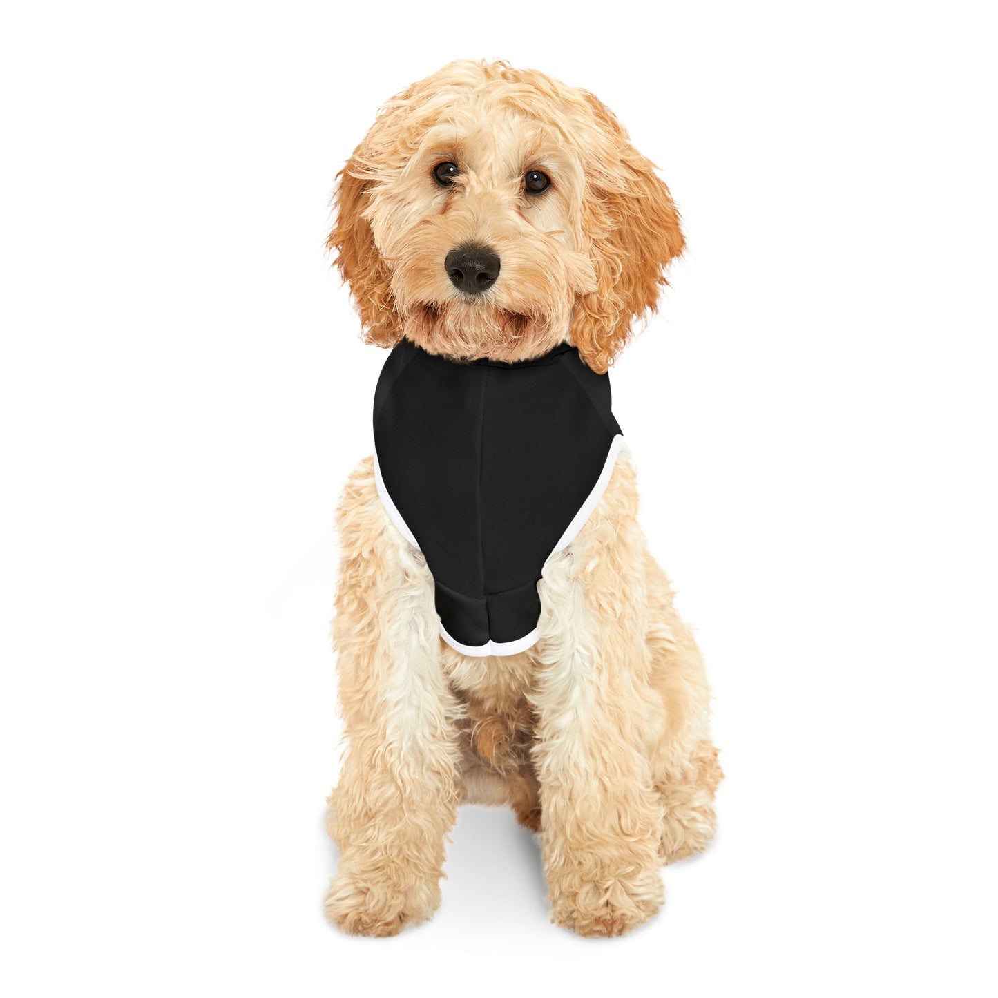 Charming Pet Hoodie for Small Dogs, Cozy Dog Apparel, Perfect for Pet Lovers, Halloween Costume, Winter Wardrobe Essential, Funny Dog [...]